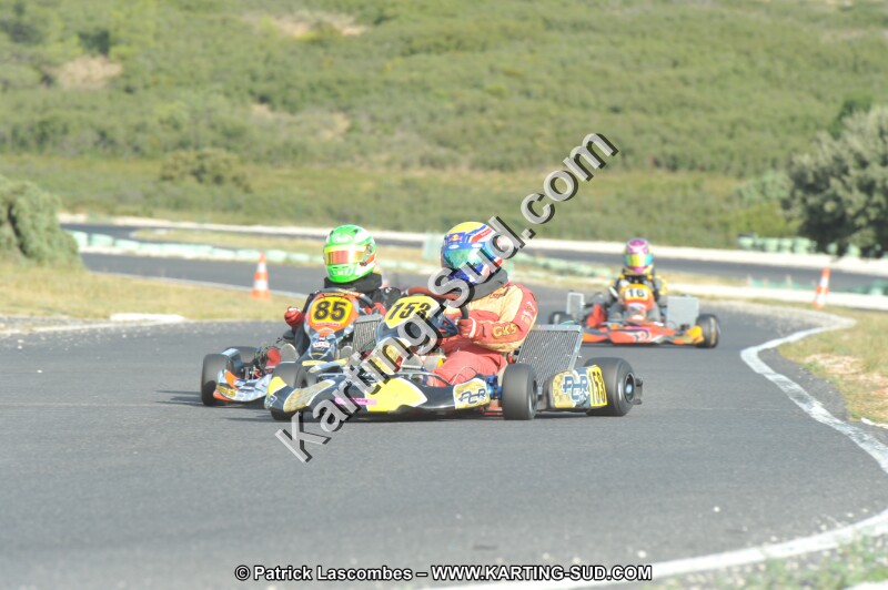 DSC (4075).JPG